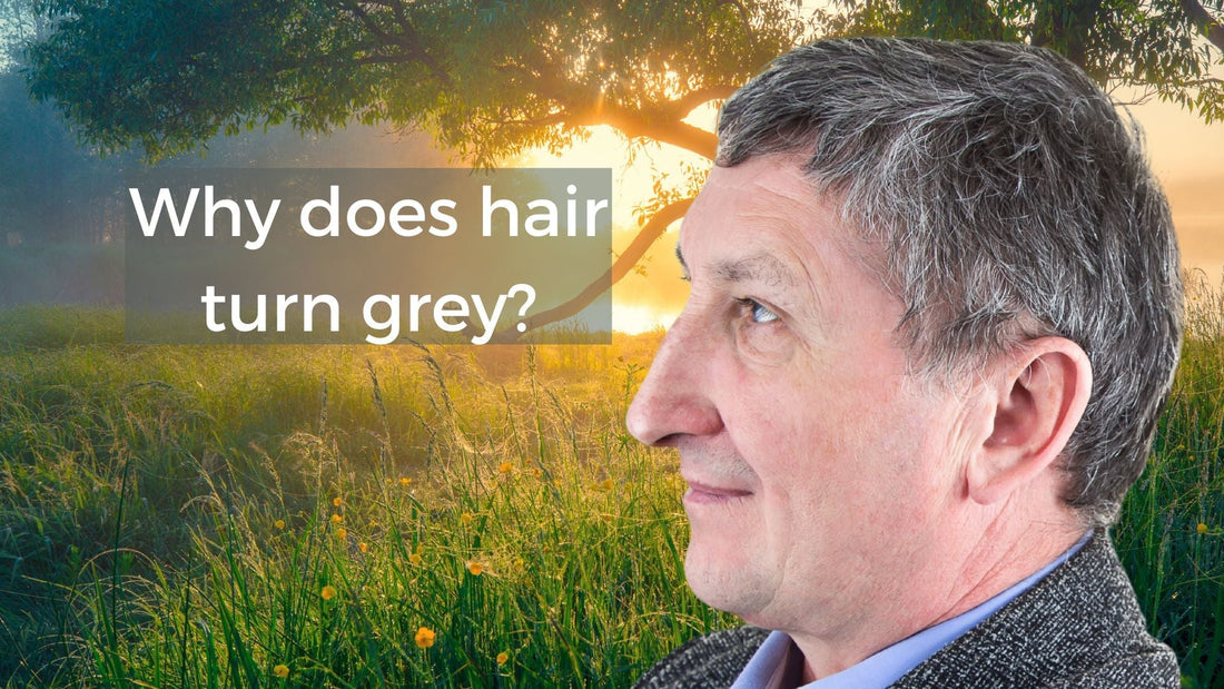 Why does hair turn grey?