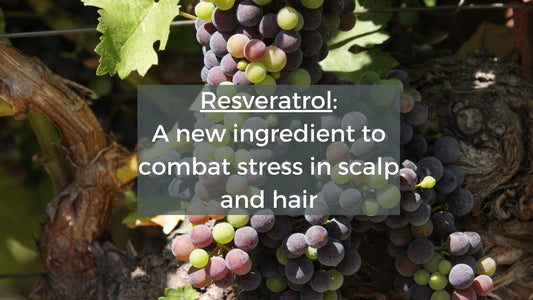 Resveratrol: A new compound to combat scalp stress