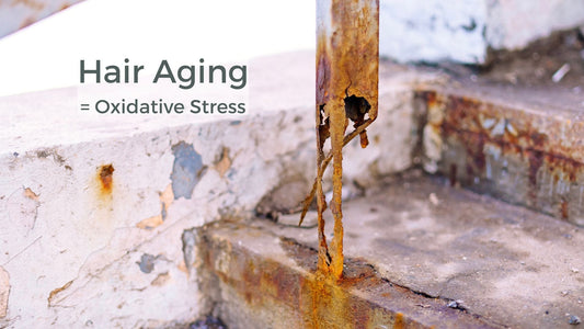Hair Aging = Oxidative Stress