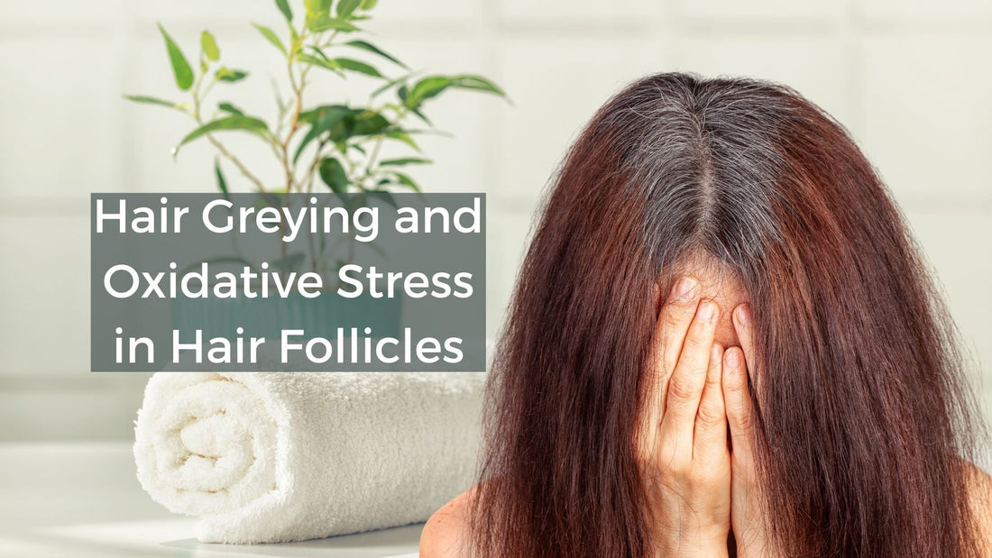Hair Greying and Oxidative Stress in Hair Follicles