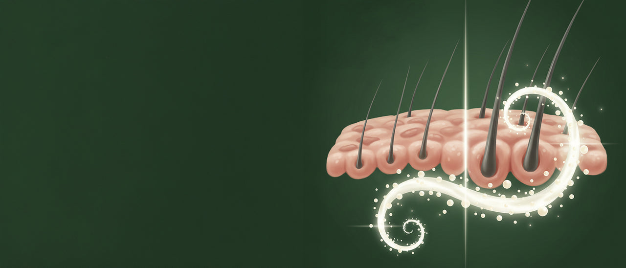 Scalp Microbiome Support